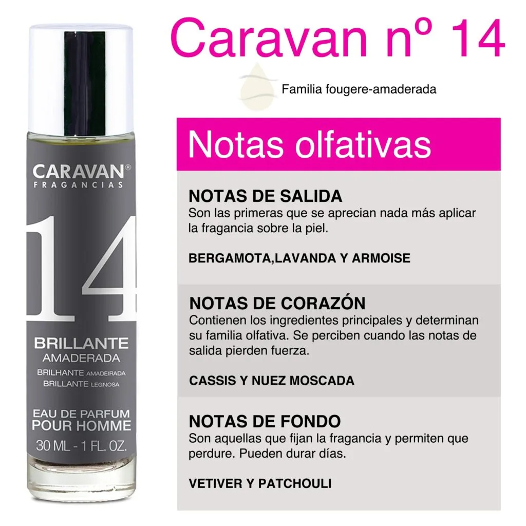 pafum-caravan-barbati-14