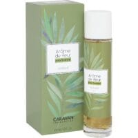 vetiver parfum caravan